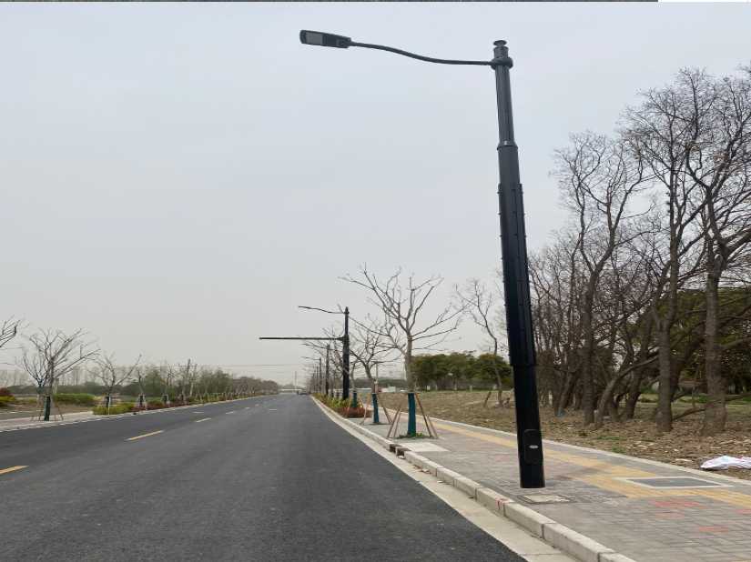 安仁县上海综合杆 太阳能路灯工程